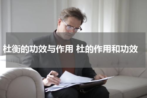 杜衡的功效与作用 杜的作用和功效