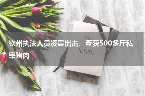 钦州执法人员凌晨出击，查获500多斤私宰猪肉