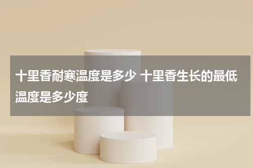 十里香耐寒温度是多少 十里香生长的最低温度是多少度