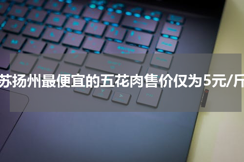 江苏扬州最便宜的五花肉售价仅为5元/斤