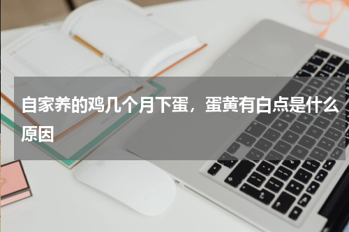 自家养的鸡几个月下蛋，蛋黄有白点是什么原因