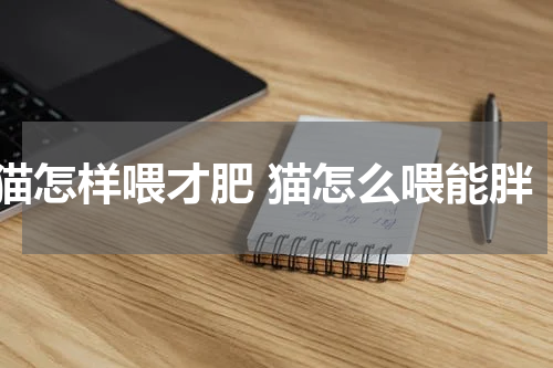 猫怎样喂才肥 猫怎么喂能胖