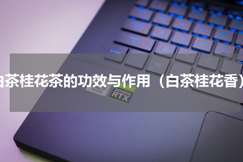 白茶桂花茶的功效与作用（白茶桂花香）