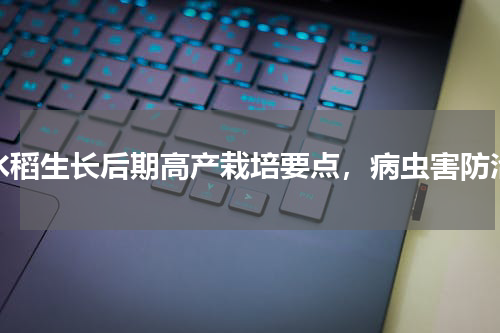 水稻生长后期高产栽培要点，病虫害防治