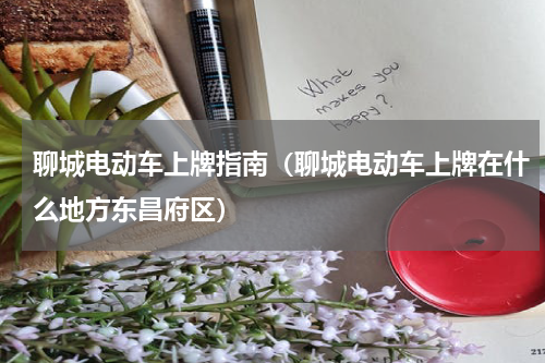 聊城电动车上牌指南（聊城电动车上牌在什么地方东昌府区）