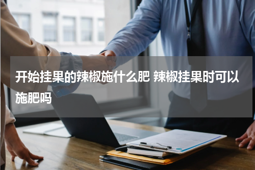 开始挂果的辣椒施什么肥 辣椒挂果时可以施肥吗