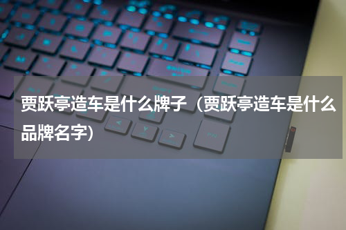 贾跃亭造车是什么牌子（贾跃亭造车是什么品牌名字）
