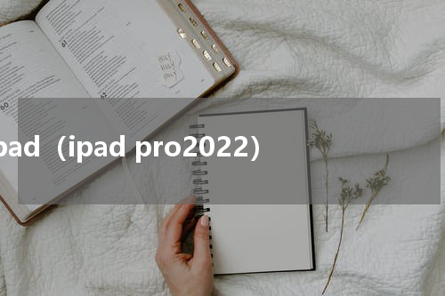 ipad（ipad pro2022）