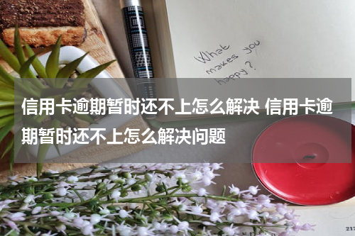 信用卡逾期暂时还不上怎么解决 信用卡逾期暂时还不上怎么解决问题