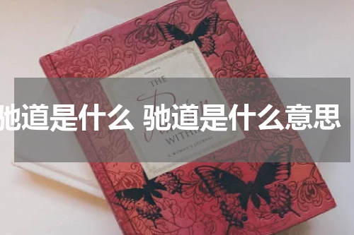 驰道是什么 驰道是什么意思