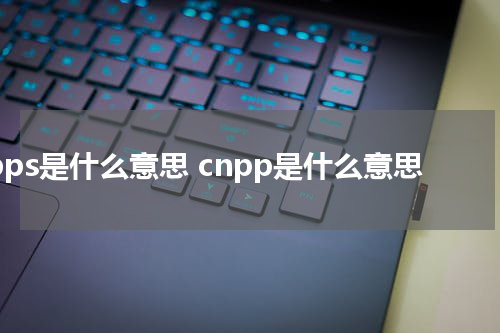 1pps是什么意思 cnpp是什么意思