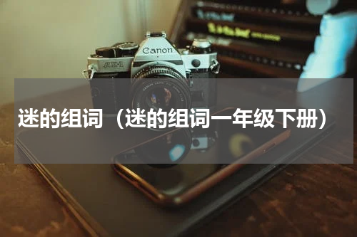 迷的组词（迷的组词一年级下册）