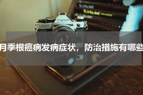 月季根癌病发病症状，防治措施有哪些