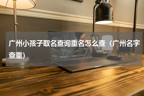 广州小孩子取名查询重名怎么查（广州名字查重）
