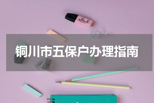 铜川市五保户办理指南