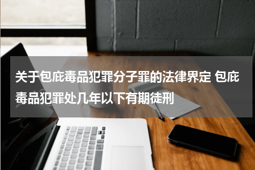 关于包庇毒品犯罪分子罪的法律界定 包庇毒品犯罪处几年以下有期徒刑