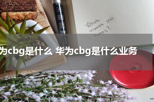 华为cbg是什么 华为cbg是什么业务
