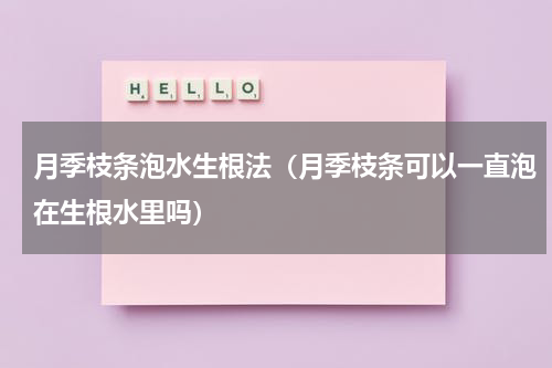 月季枝条泡水生根法（月季枝条可以一直泡在生根水里吗）