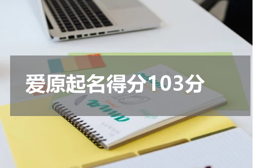 爱原起名得分103分