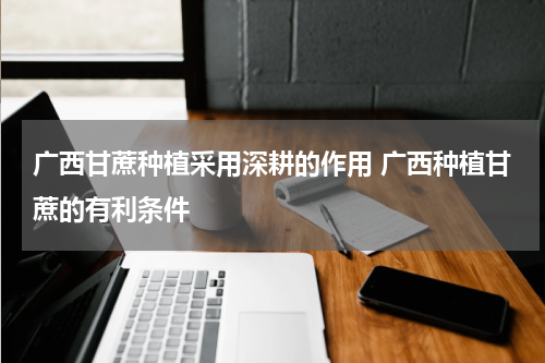 广西甘蔗种植采用深耕的作用 广西种植甘蔗的有利条件