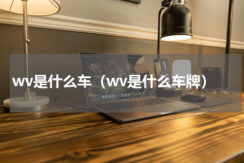 wv是什么车（wv是什么车牌）