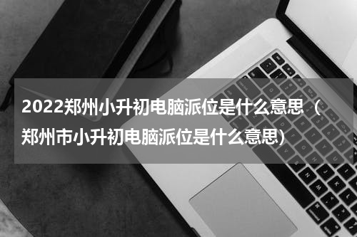 2022郑州小升初电脑派位是什么意思（郑州市小升初电脑派位是什么意思）