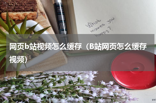 网页b站视频怎么缓存（B站网页怎么缓存视频）