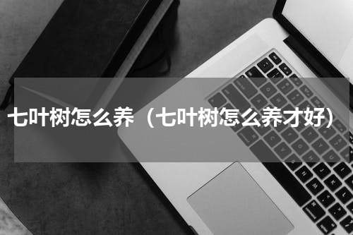 七叶树怎么养（七叶树怎么养才好）
