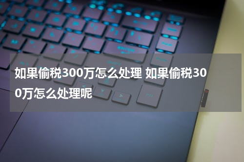 如果偷税300万怎么处理 如果偷税300万怎么处理呢