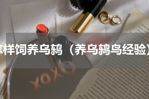 怎样饲养乌鸫（养乌鸫鸟经验）