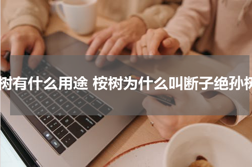 桉树有什么用途 桉树为什么叫断子绝孙树