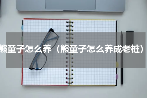 熊童子怎么养（熊童子怎么养成老桩）