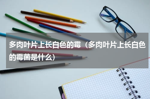 多肉叶片上长白色的霉（多肉叶片上长白色的霉菌是什么）