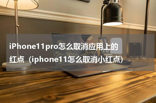 iPhone11pro怎么取消应用上的红点（iphone11怎么取消小红点）