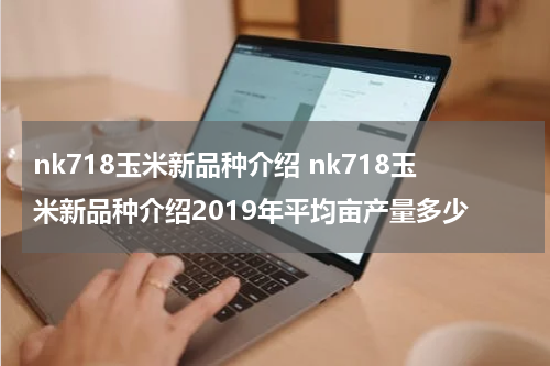 nk718玉米新品种介绍 nk718玉米新品种介绍2019年平均亩产量多少