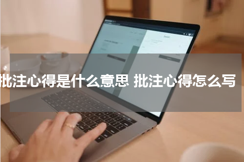 批注心得是什么意思 批注心得怎么写