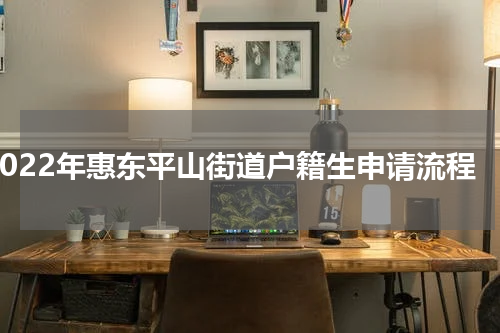 2022年惠东平山街道户籍生申请流程