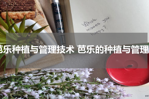 芭乐种植与管理技术 芭乐的种植与管理