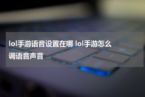 lol手游语音设置在哪 lol手游怎么调语音声音