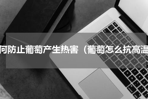 如何防止葡萄产生热害（葡萄怎么抗高温）