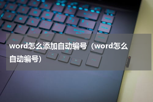 word怎么添加自动编号（word怎么自动编号）