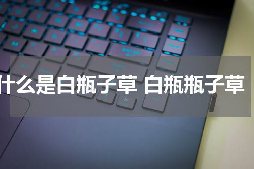 什么是白瓶子草 白瓶瓶子草