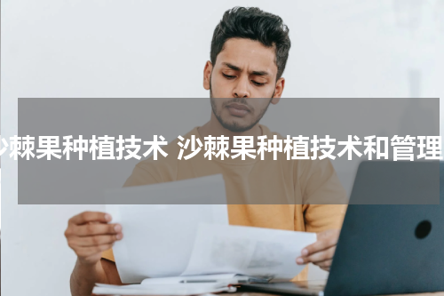 沙棘果种植技术 沙棘果种植技术和管理