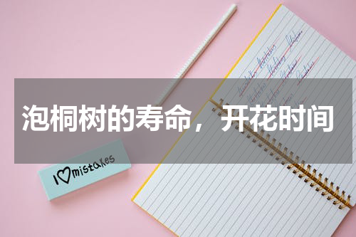 泡桐树的寿命，开花时间
