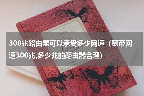 300兆路由器可以承受多少网速（宽带网速300兆,多少兆的路由器合理）