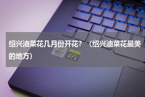 绍兴油菜花几月份开花？（绍兴油菜花最美的地方）