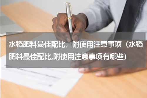 水稻肥料最佳配比，附使用注意事项（水稻肥料最佳配比,附使用注意事项有哪些）