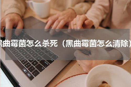 黑曲霉菌怎么杀死（黑曲霉菌怎么清除）