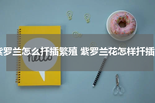 紫罗兰怎么扦插繁殖 紫罗兰花怎样扦插