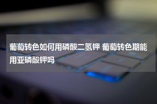 葡萄转色如何用磷酸二氢钾 葡萄转色期能用亚磷酸钾吗